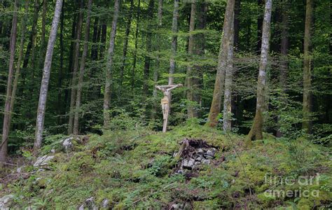 crucifixion woods|Crucifixion Woods .